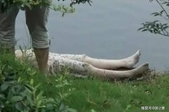 冷静而客观地针对争论中出现的两种不同意见